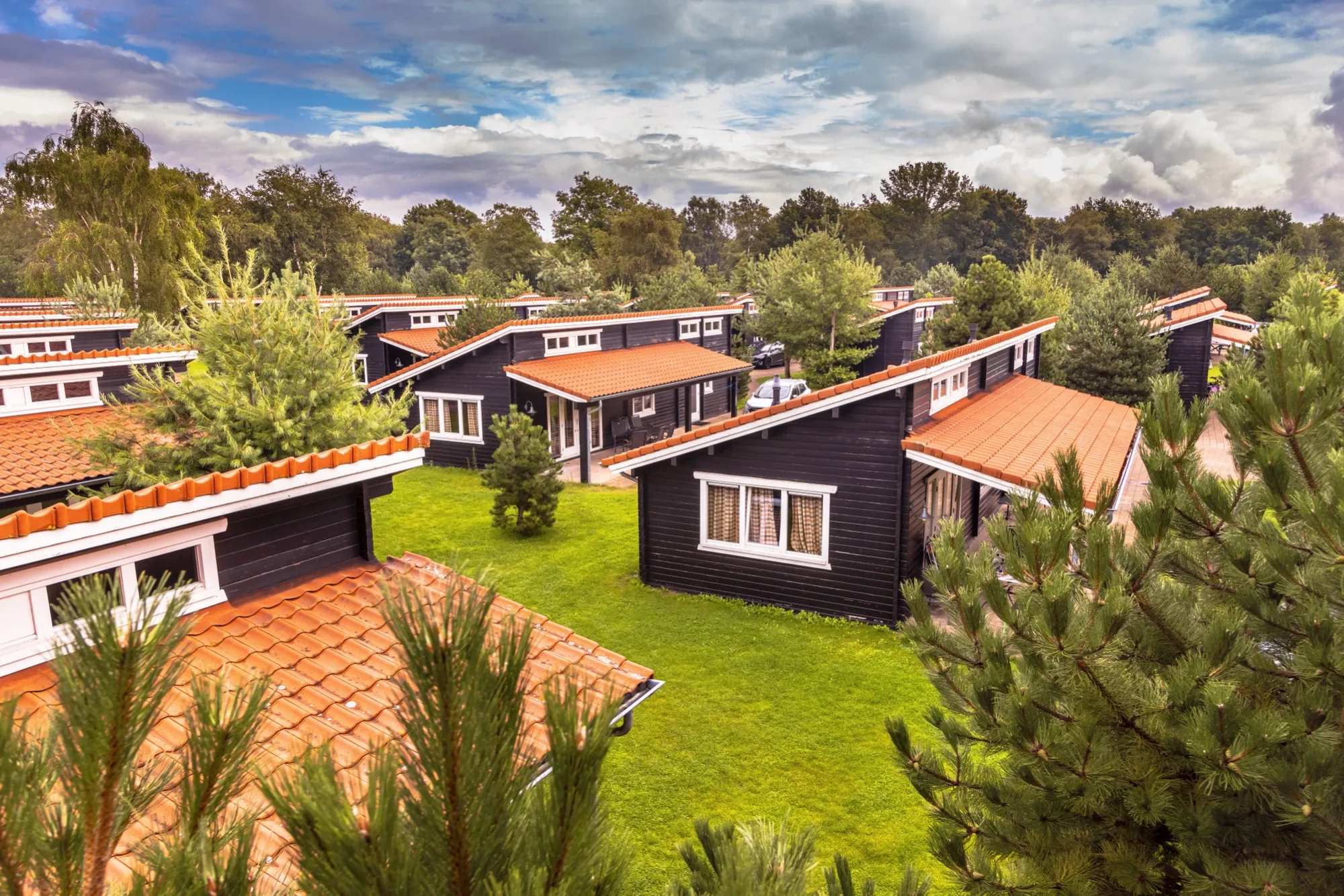 Houten chalets met oranje pannendaken op een bungalowpark tussen de bomen